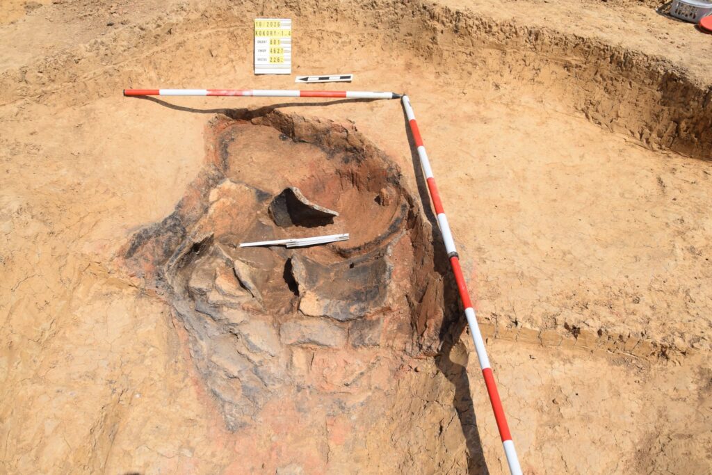 Partly exposed ceramic vessel in an excavation pit beside measuring rods.