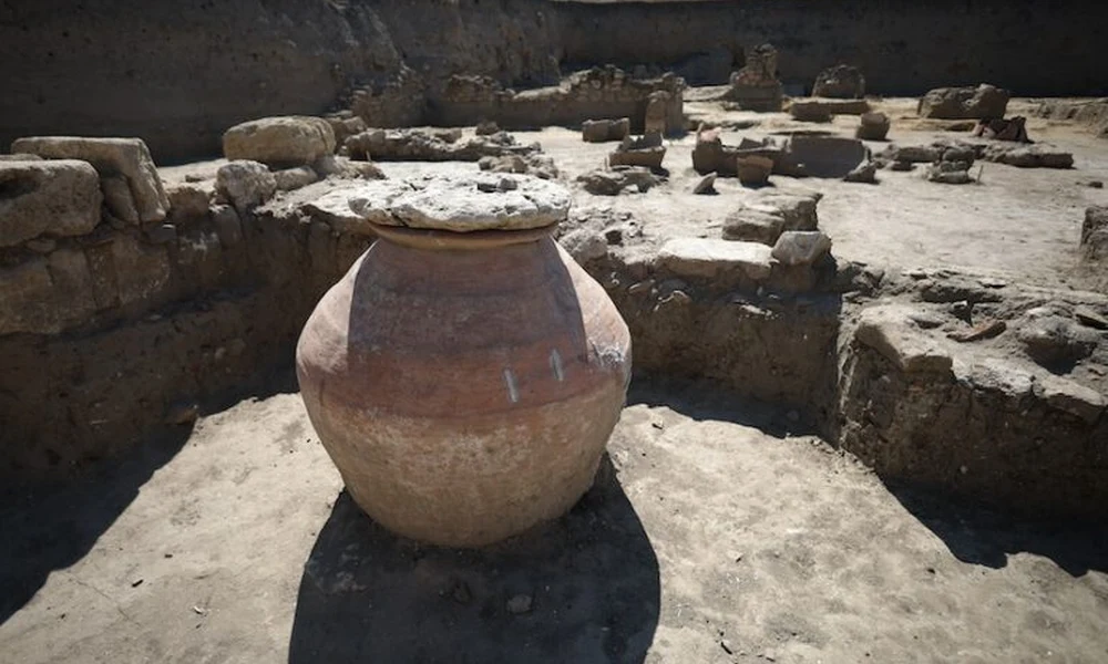 Large ceramic pithos found in Phanagoria’s ancient wine district