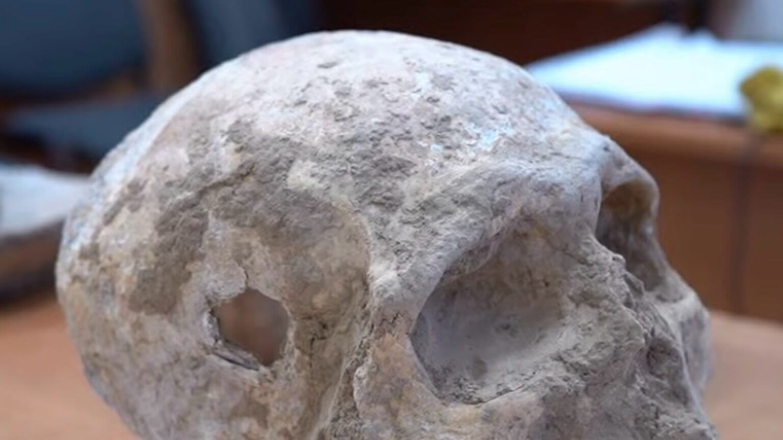 Ancient Grave in Kazakhstan Reveals a Woman With a Mysterious Skull Injury
