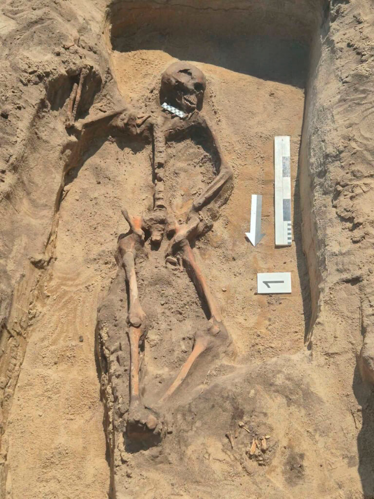 Female skeleton excavated in the later cemetery at Żórawina