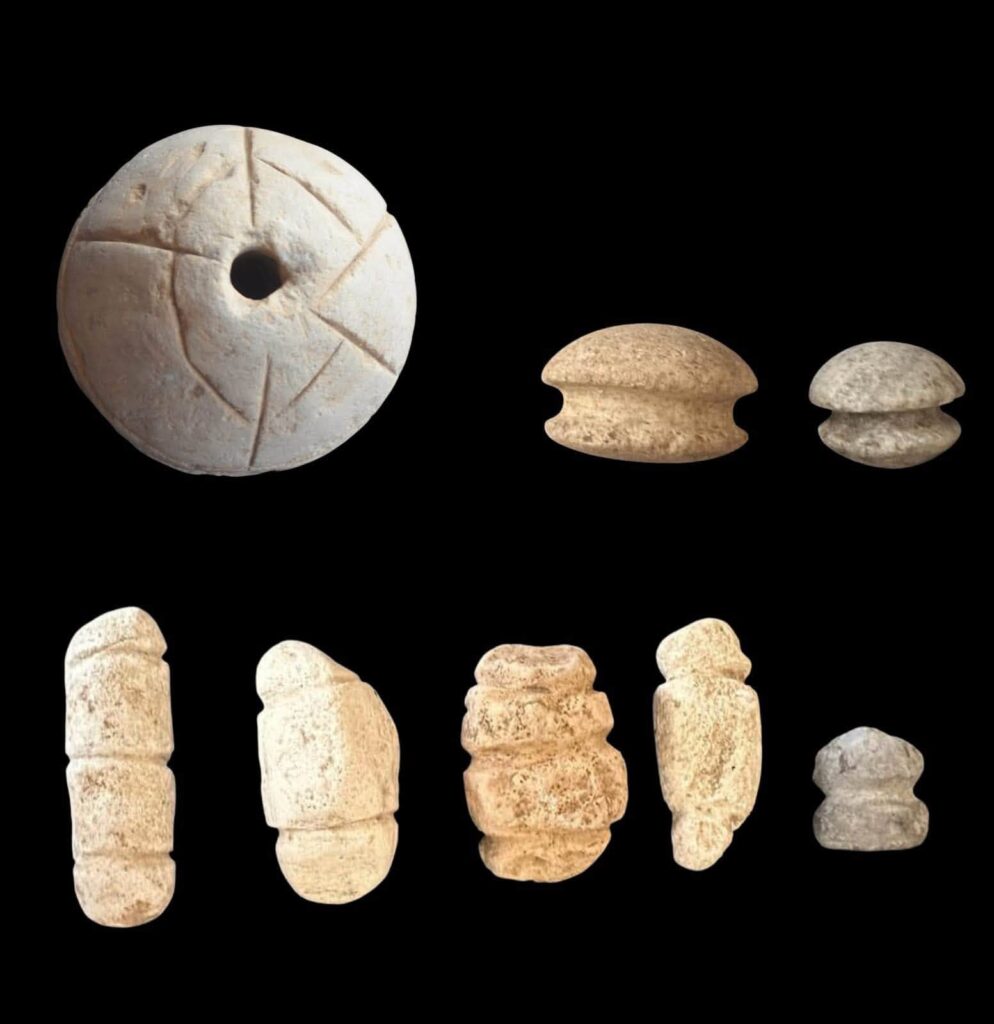 Stone chariot-harness fittings found near the horse burial at Tell el-Abqain.