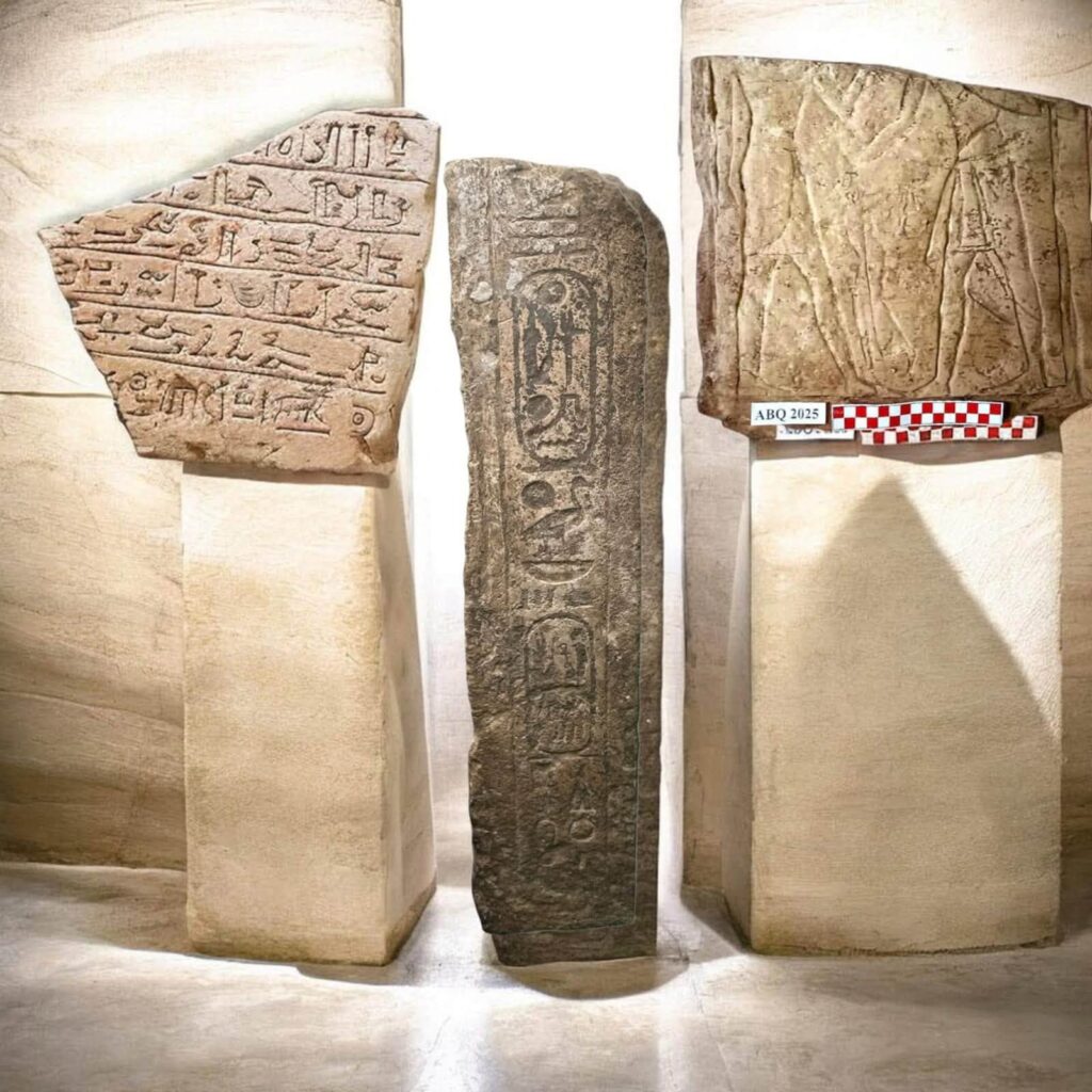 Inscribed stone fragments and a relief of a bound captive found at Tell el-Abqain.
