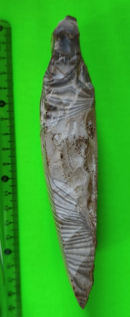 Side profile of the striped flint axe showing its wedge shape and narrowed butt