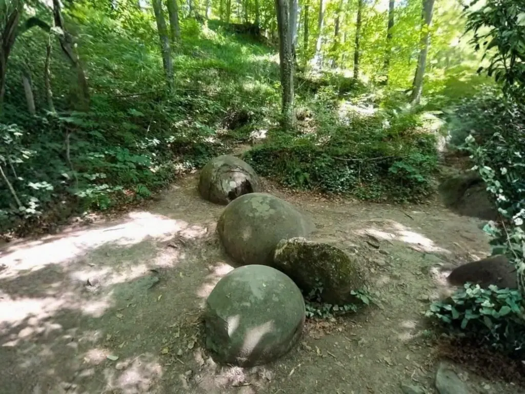 Several large stone spheres partially exposed in the forest floor near Zavidovići.