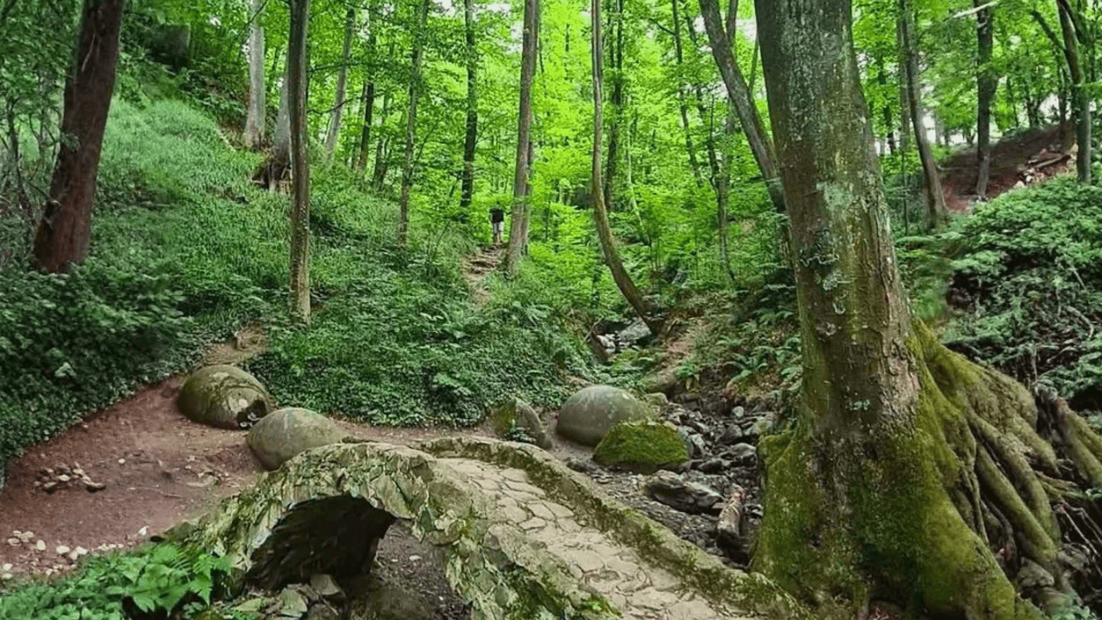 Giant Stone Spheres Hidden in a Bosnian Forest Defy an Easy Explanation