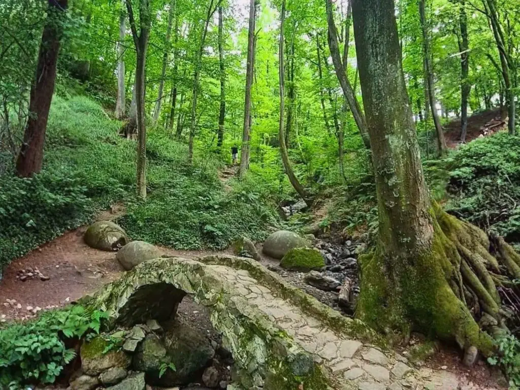 Giant Stone Spheres Hidden in a Bosnian Forest Defy an Easy Explanation
