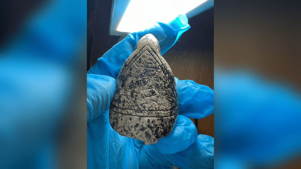 Ice Age Artists Turned the Natural Patterns of Mammoth Tusks into Art 18,000 Years Ago
