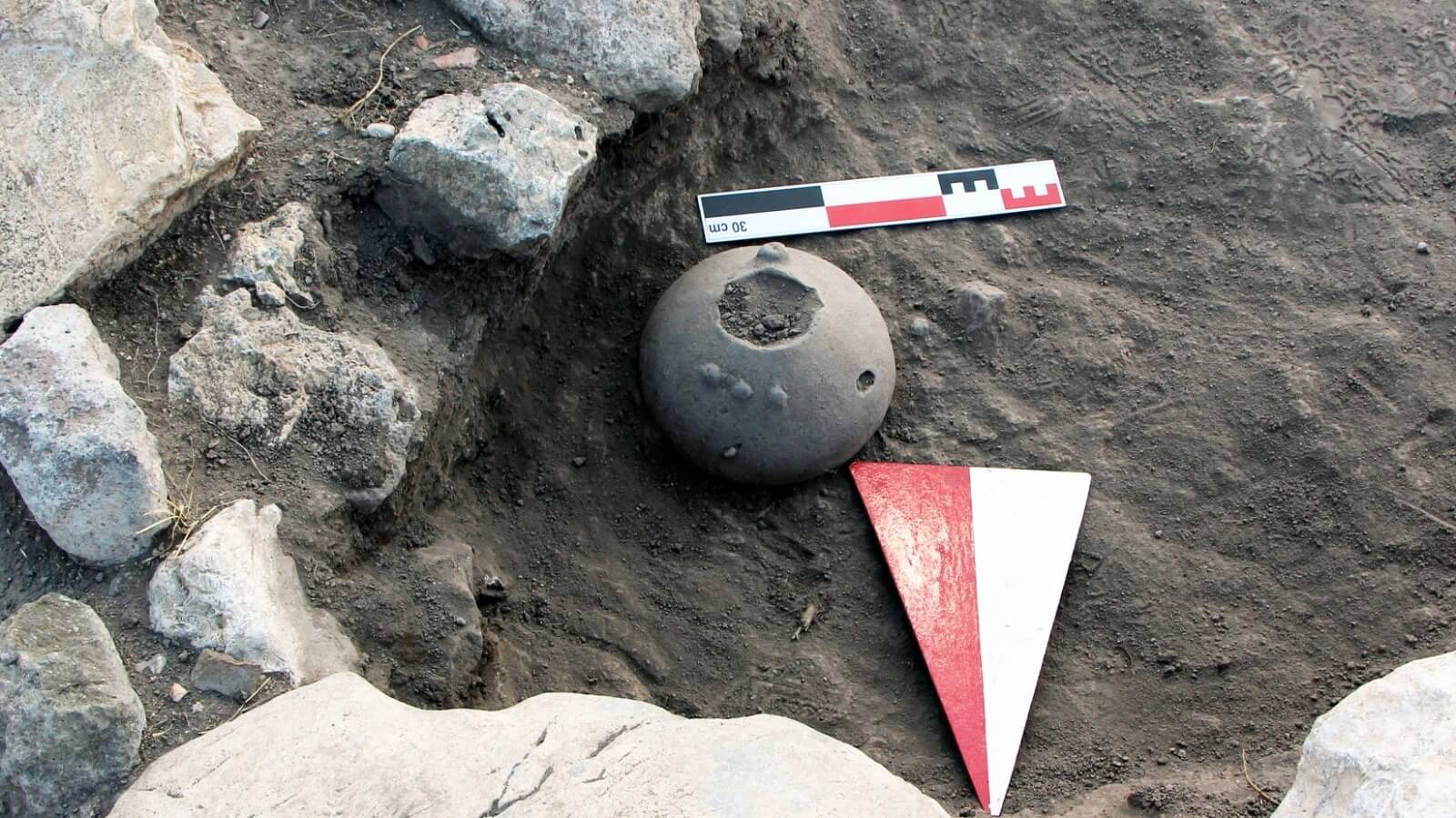 Seeds of Ankara’s Endangered Flower Found in 4,000-Year-Old Hittite Vessel