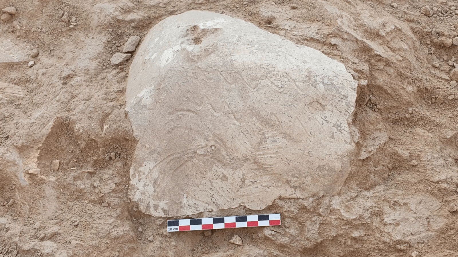 Mysterious Deer-Decorated Ossuary and Fire-Scarred Altar Unearthed in Uzbekistan