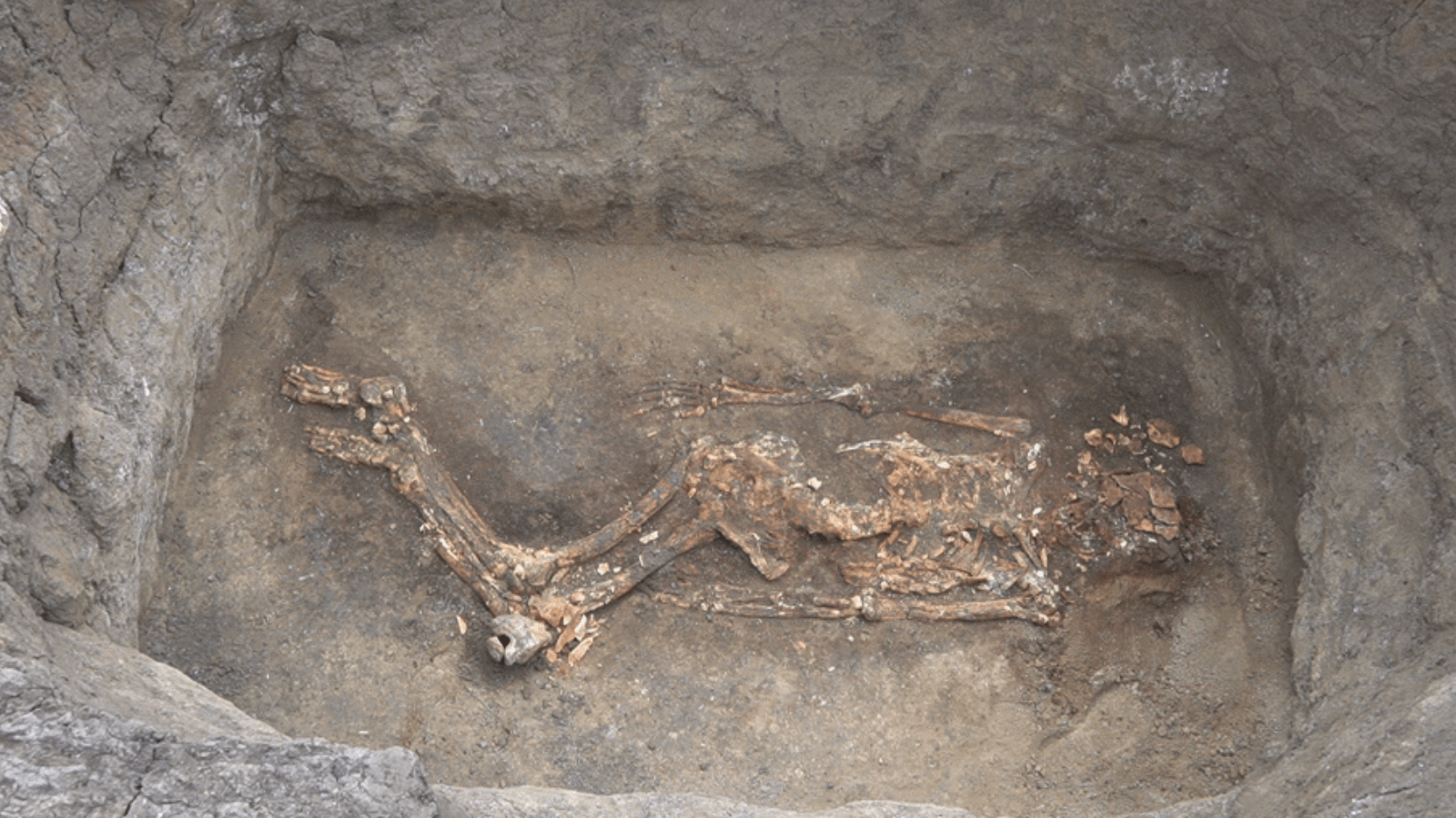 Archaeologists Find Blue Pigment on a 5,000-Year-Old Skeleton in Bulgaria
