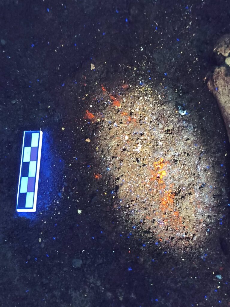 Skeleton Coated in Blue Pigment Found in a 5,000-Year-Old Grave in Bulgaria