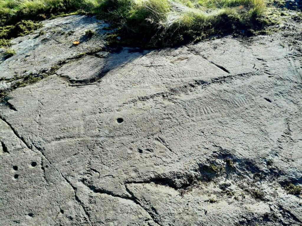 A Huge New Rock Art Panel Emerges at Sweden’s Tanum World Heritage Site