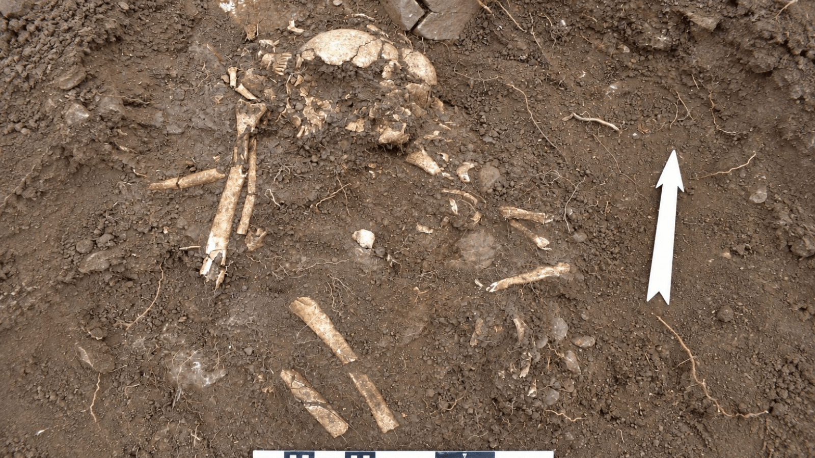 Unusual Funeral Rites Discovered in an Early Bronze Age Mound in Azerbaijan