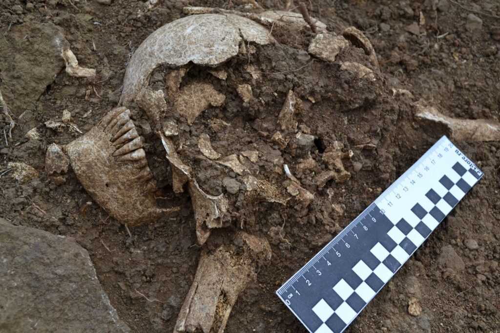 Close view of human skeletal remains excavated from a shallow grave at the Ökü mound.