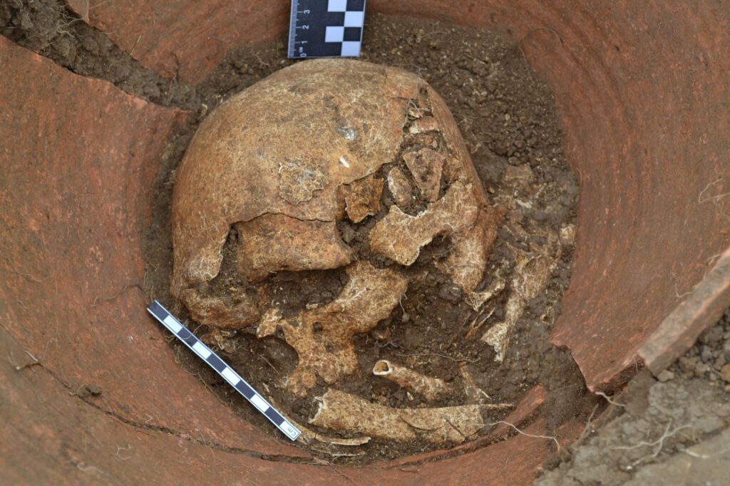 Human skull and skeletal remains inside an Early Bronze Age ceramic burial vessel in Azerbaijan.
