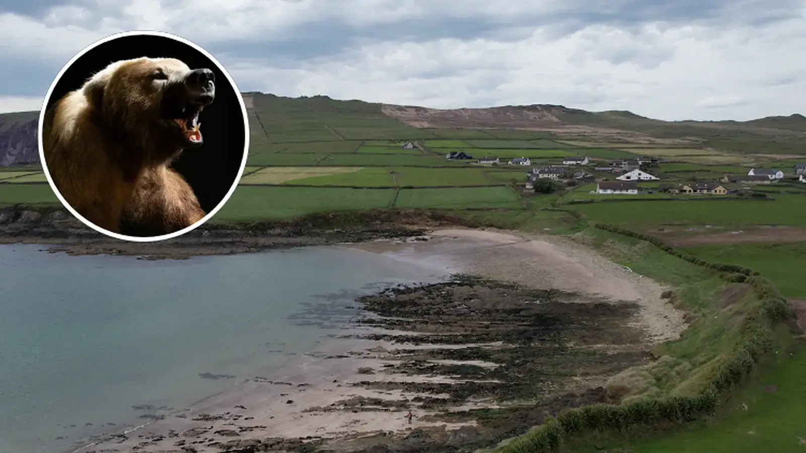 Ireland’s Famous ‘Kerry Cow’ Was Never a Cow — And Its True Identity Changes a Prehistoric Story