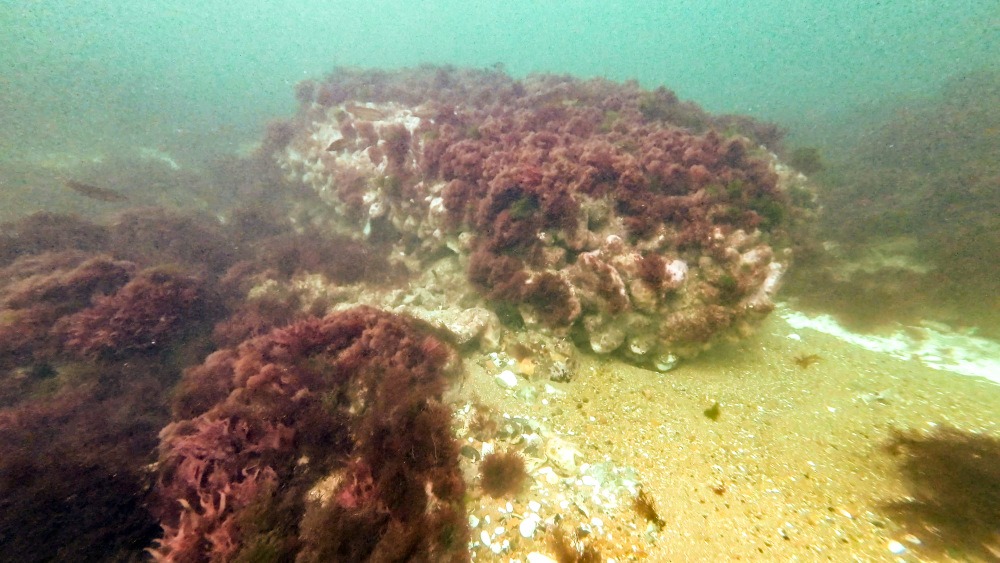 Submerged flint structure considered a possible candidate for Church Rock off Cromer.