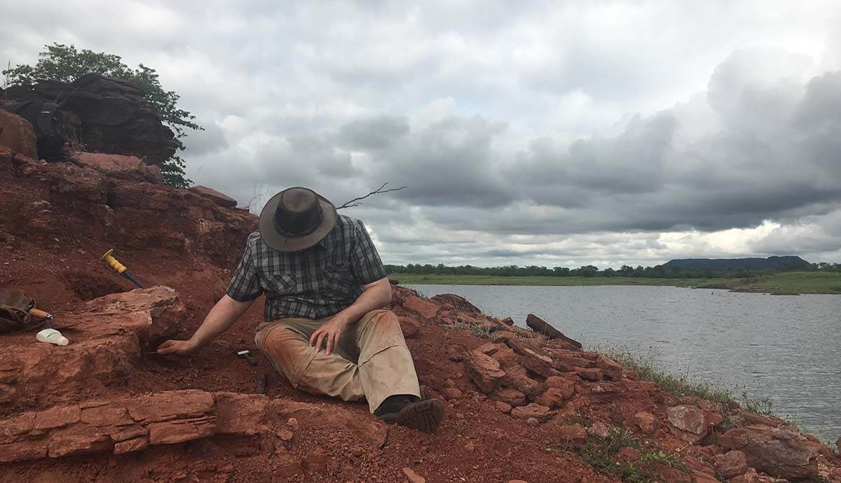 210-Million-Year-Old Dinosaur Found in Zimbabwe Had Survived a Serious Injury or Infection