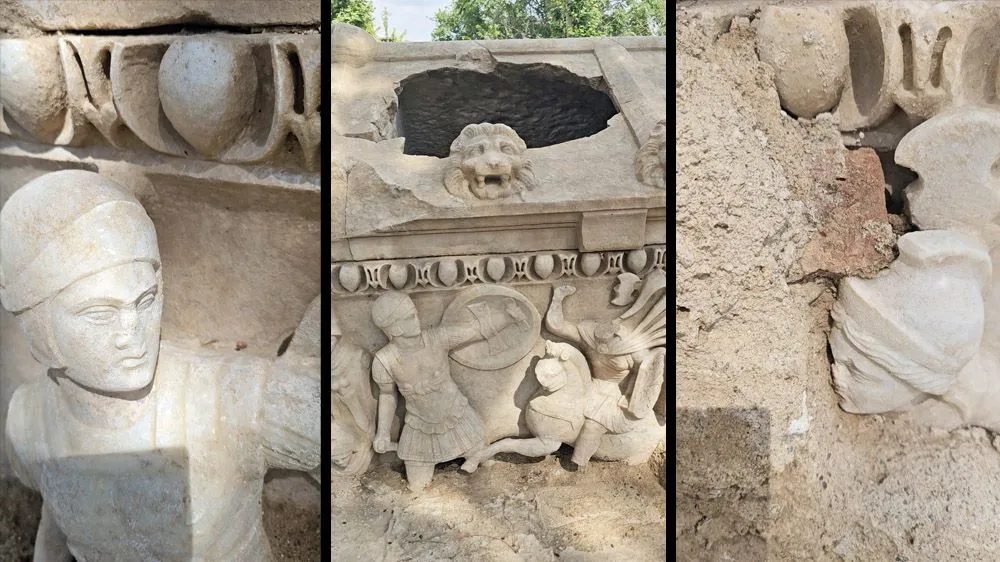 Detailed views of sculpted warrior figures, a circular shield, and a lion-head ornament on the Roman Amazon sarcophagus.