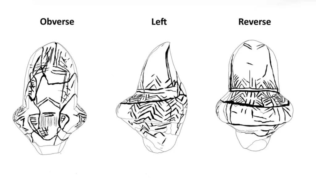 Technical drawings of the Mizyn mammoth ivory figurine from three different angles (front, left side, and back). The intricate decorations and natural line patterns on the surface are shown in detail.