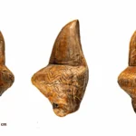 A female figurine carved from mammoth ivory, dating back approximately 18,000 years, has been photographed from three different angles. Fine lines and decorations are visible on the brown ivory surface, and a 2-cm scale bar is shown next to it.