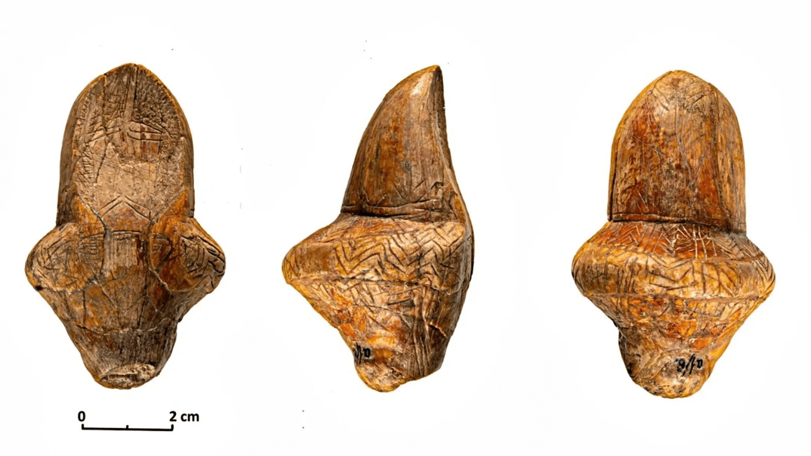 A female figurine carved from mammoth ivory, dating back approximately 18,000 years, has been photographed from three different angles. Fine lines and decorations are visible on the brown ivory surface, and a 2-cm scale bar is shown next to it.