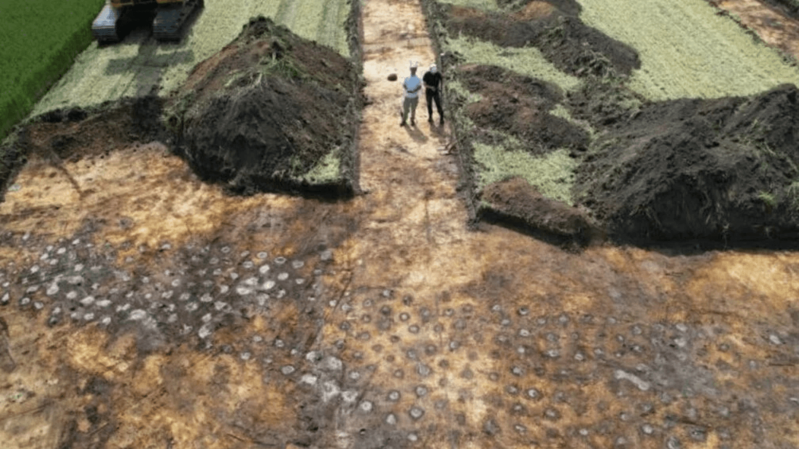 Aerial photograph showing rows of ancient postholes uncovered during archaeological excavations near Schæfergårde, Denmark.
