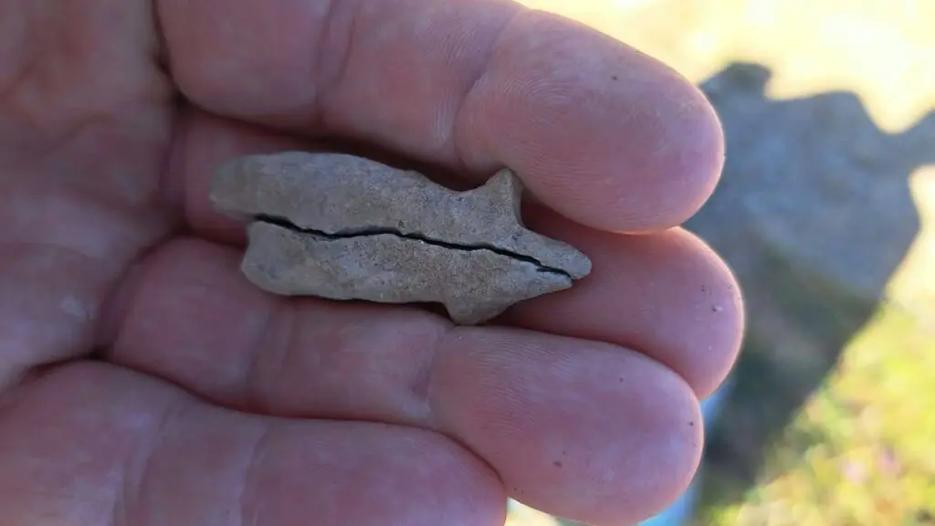 A 6,500-year-old female figurine has been discovered in Transylvania