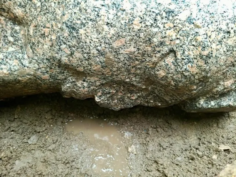 Colossal stone head of Pharaoh Ramesses II lying in an excavation trench at Behbeit el-Hagar, Egypt.