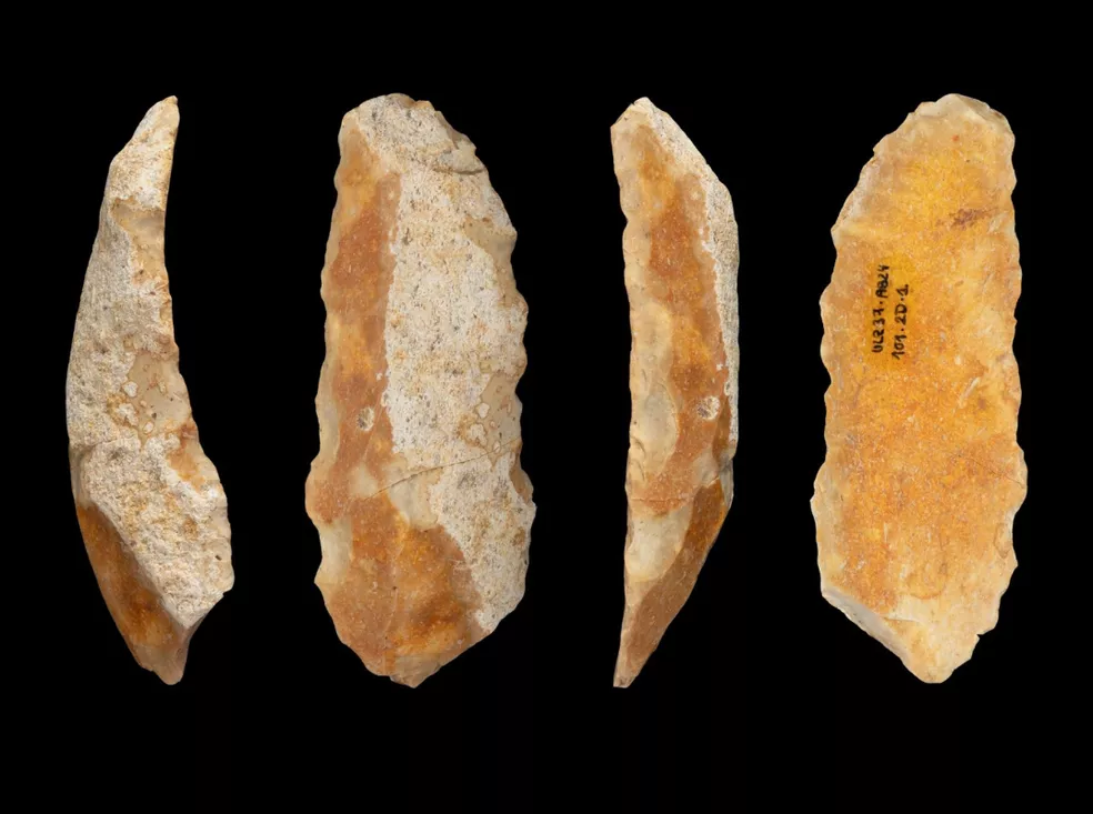 Four views of a prehistoric flaked stone tool recovered from Abauntz Cave in Navarre, Spain.