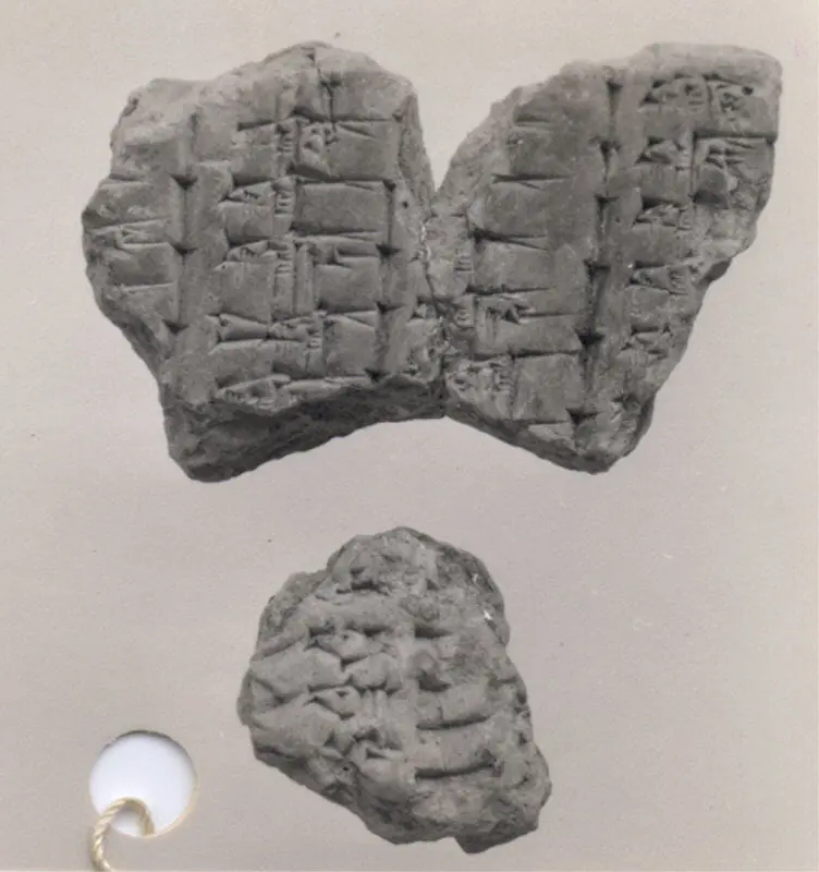 Fragment of a late first-millennium BCE Babylonian Syllabary A clay tablet used in scribal education, inscribed with cuneiform signs.