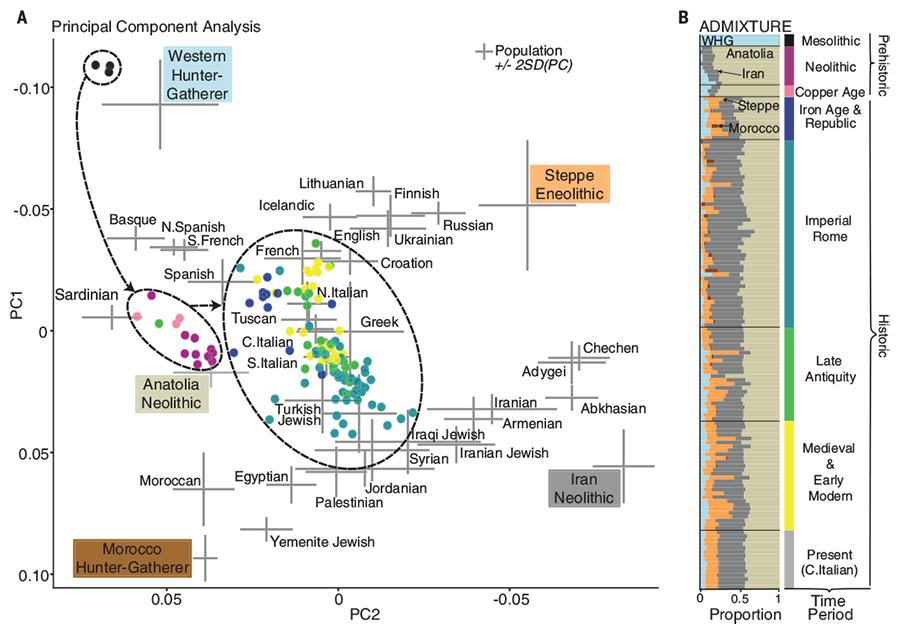 Principal component analysis comparing ancient DNA from Roman and medieval Amiternum with genetic data from ancient and modern populations.