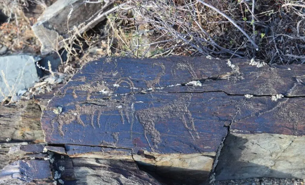 Ancient Saka Deer Carving Rediscovered in Kazakhstan After 170 Years