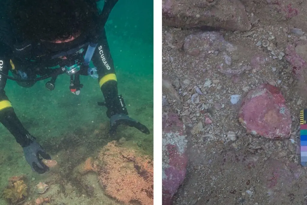 Underwater archaeologist examining the seabed at Murujuga, Australia, alongside an archaeological survey area with a Flinders University measuring scale.