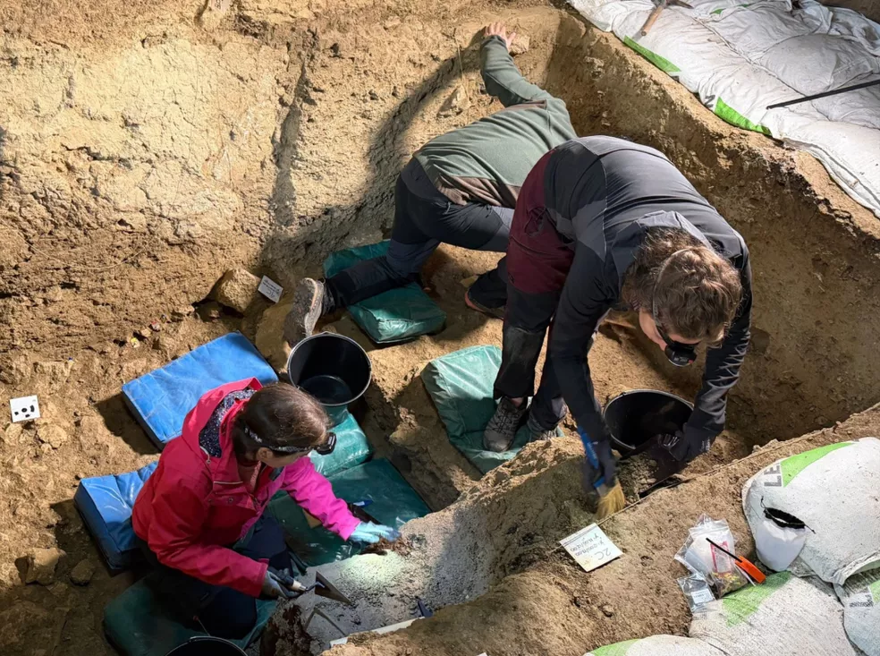 Archaeologists carefully excavating sediment layers at Abauntz Cave in Navarre, Spain.