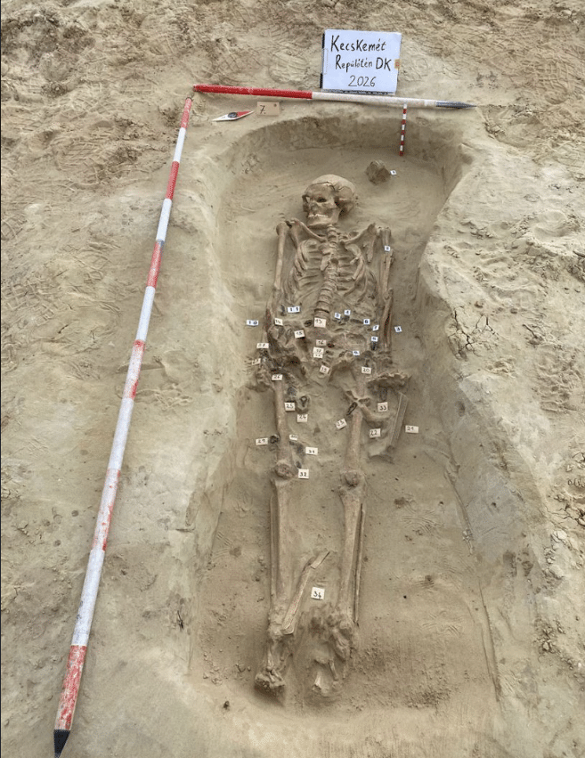 Seventh-century Avar warrior skeleton excavated with weapons and numbered burial artifacts in Hungary.