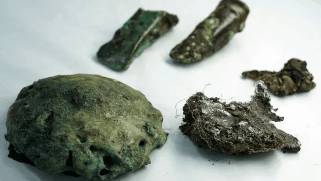 Bronze Age metal objects from the Blyth Hoard in the Scottish Borders.
