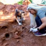 Archaeologists conducting excavations at the newly discovered Dionysus cult site at Kurul Castle in Ordu.