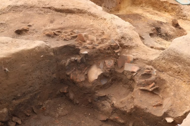 Fragments of Bronze Age pottery exposed in an archaeological excavation pit at Seddin, Germany.