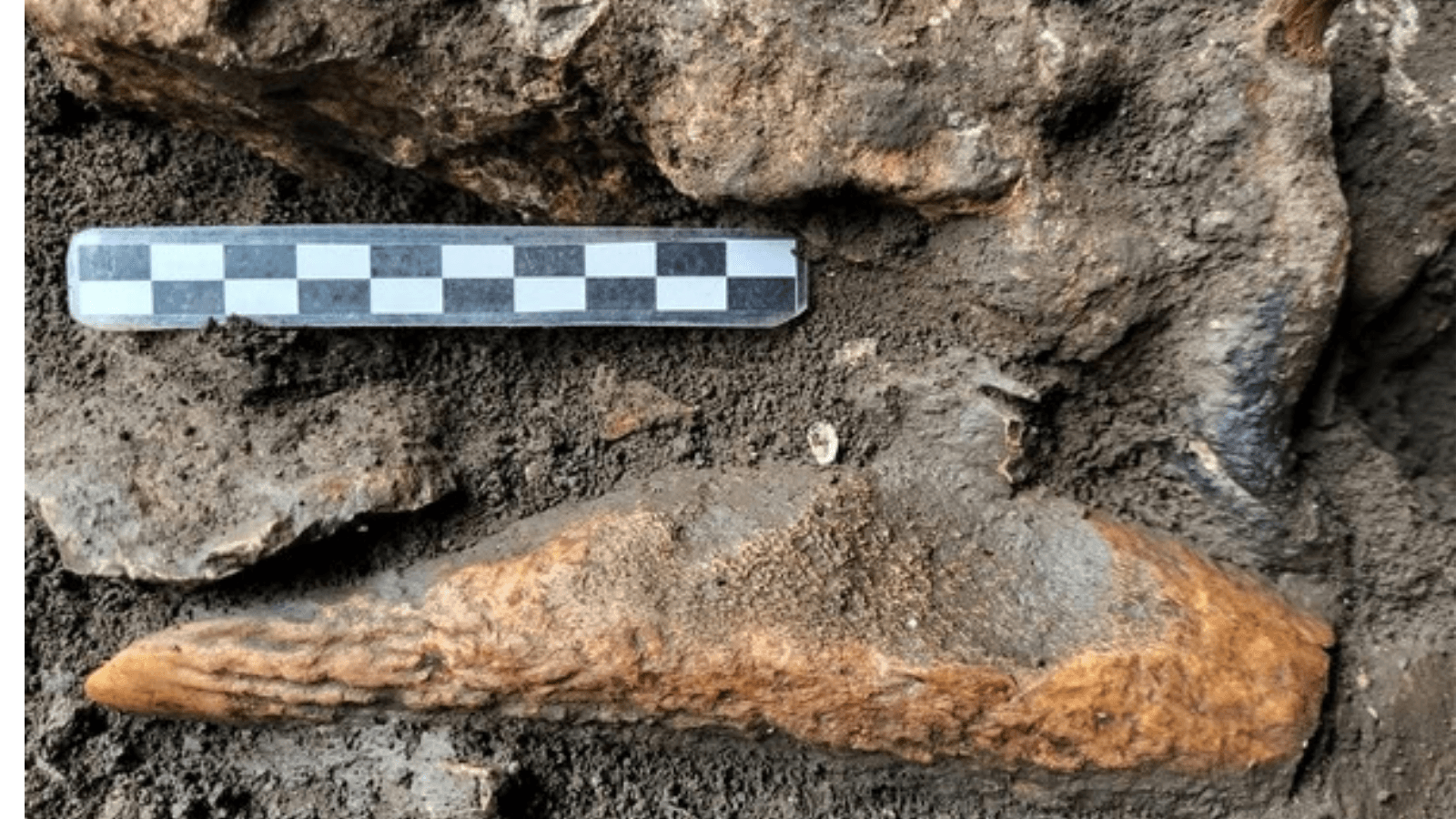 Rare 8,000-Year-Old Antler Axe Found in Prehistoric Hunters’ Camp in Italy