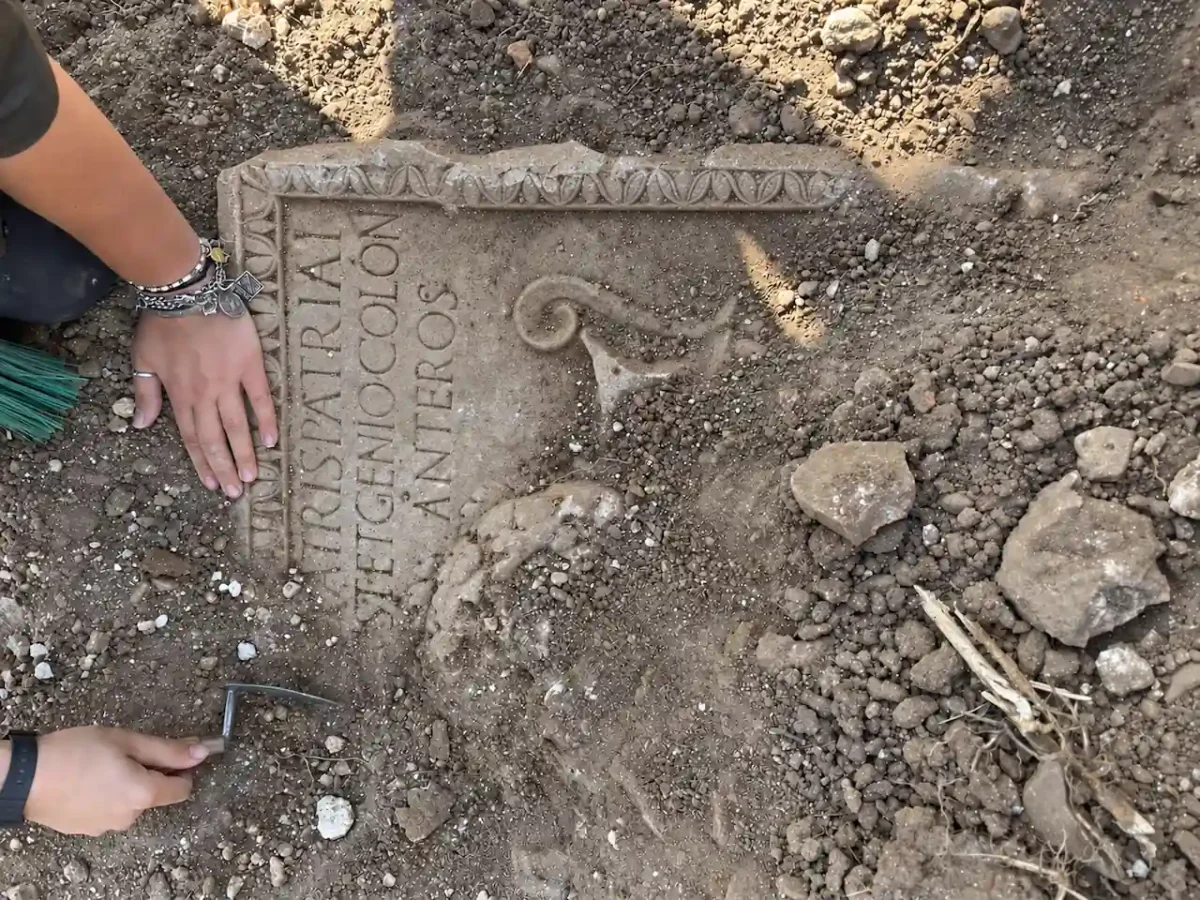 Decorated Roman cippus with inscription and animal relief discovered at Aquinum in Italy.