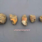 Five ancient Moche clay face fragments with surviving red, yellow, and black pigments arranged against a gray background.